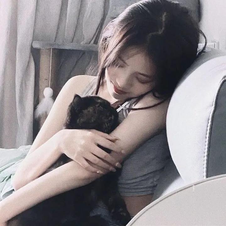 小狗千里寻主记